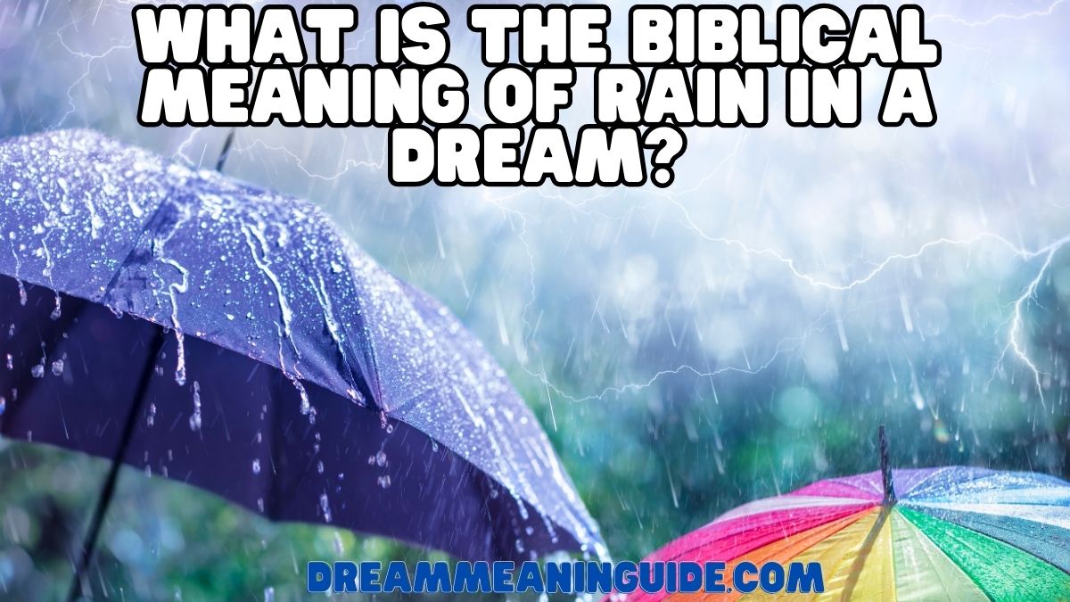 What Is the Biblical Meaning of Rain in a Dream