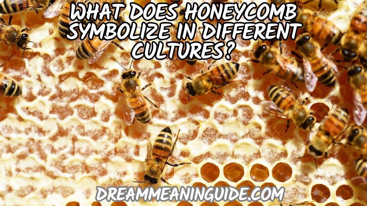 What does Honeycomb Symbolize in Different Cultures