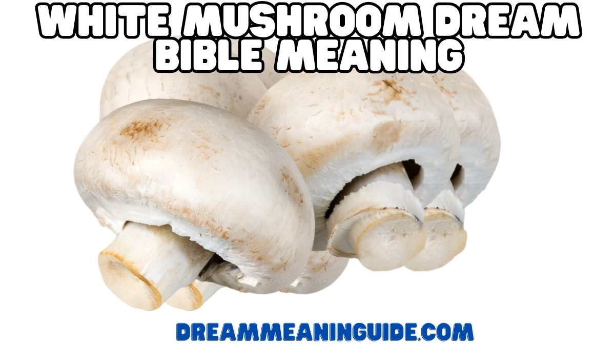 White Mushroom Dream Bible Meaning
