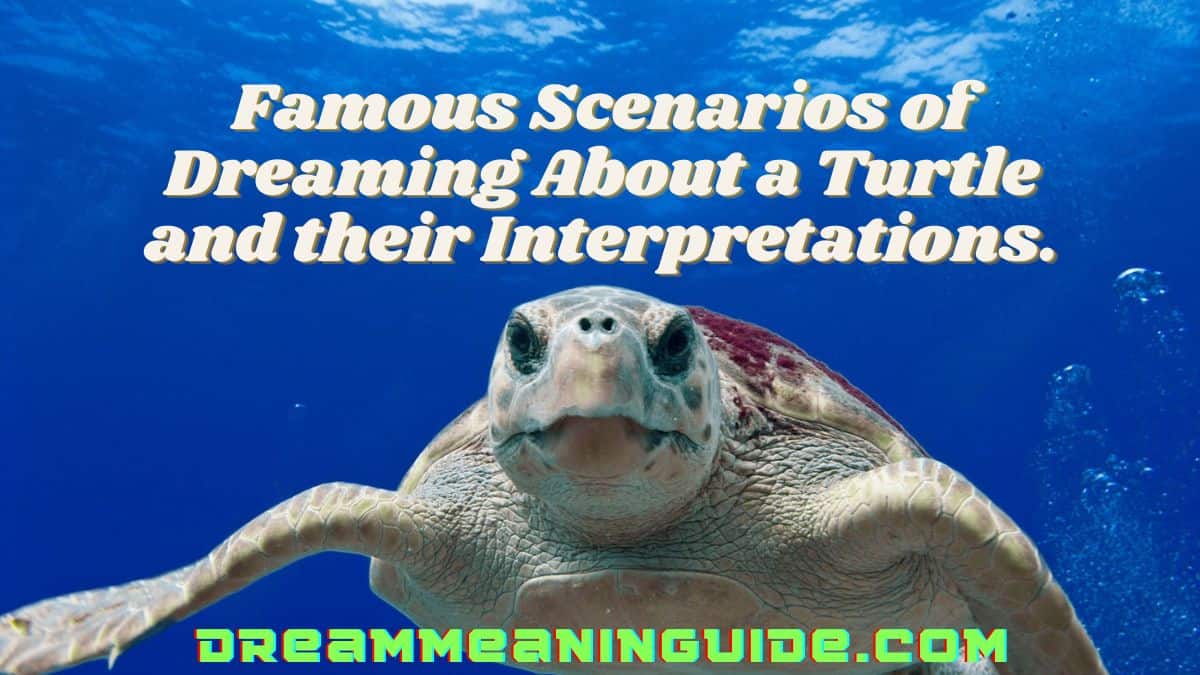 Famous Scenarios of Dreaming About a Turtle and their Interpretations.