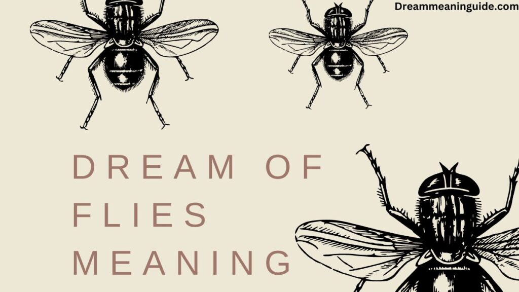 Dream of Flies Meaning