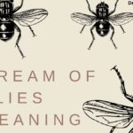 Dream of Flies Meaning