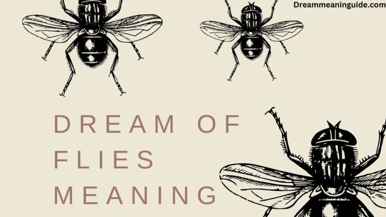 Dreaming of Flies: Unveiling the Spiritual and Biblical Meanings