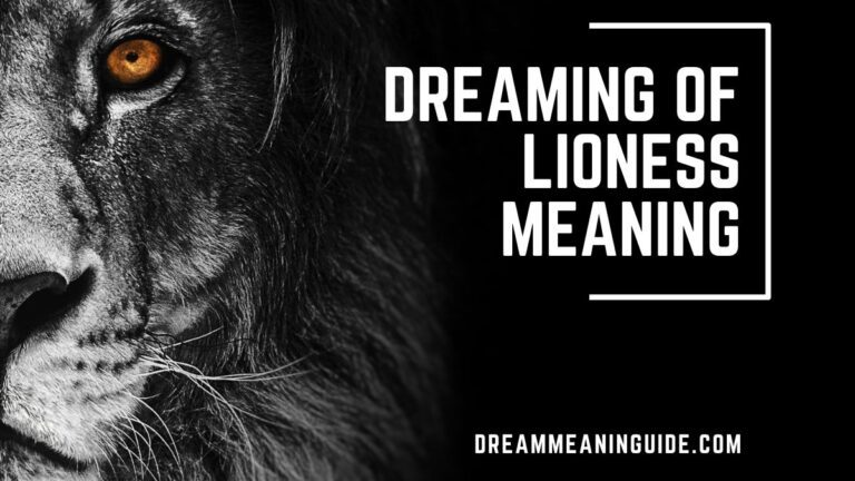 Dreaming of Lioness Meaning