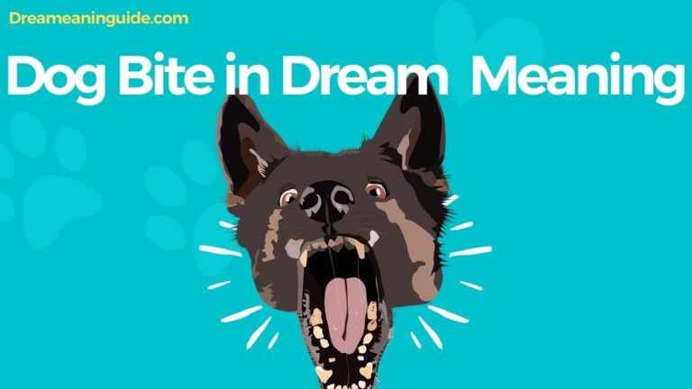 Unveiling the Dog Bite in Dream Meaning | Spiritual and Biblical Insights