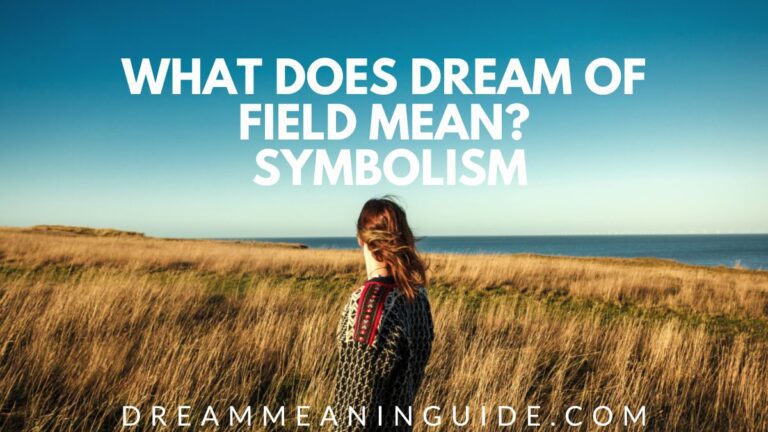 Unlocking the Meaning of Dreams: Dream of Field Explained | Green Fields, Prophetic & Biblical Significance