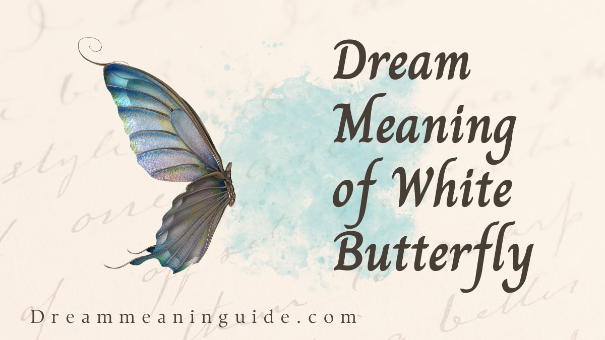 Dream Meaning of White Butterfly