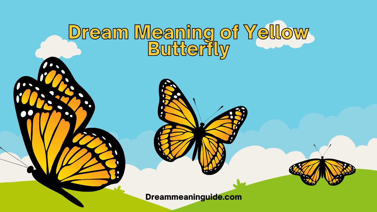 Dream Meaning of Yellow Butterfly