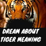 Dream about Tiger Meaning