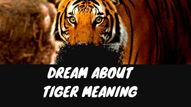 Dream About Tiger Meaning: Good or Bad? | Hindu, Islam Interpretations