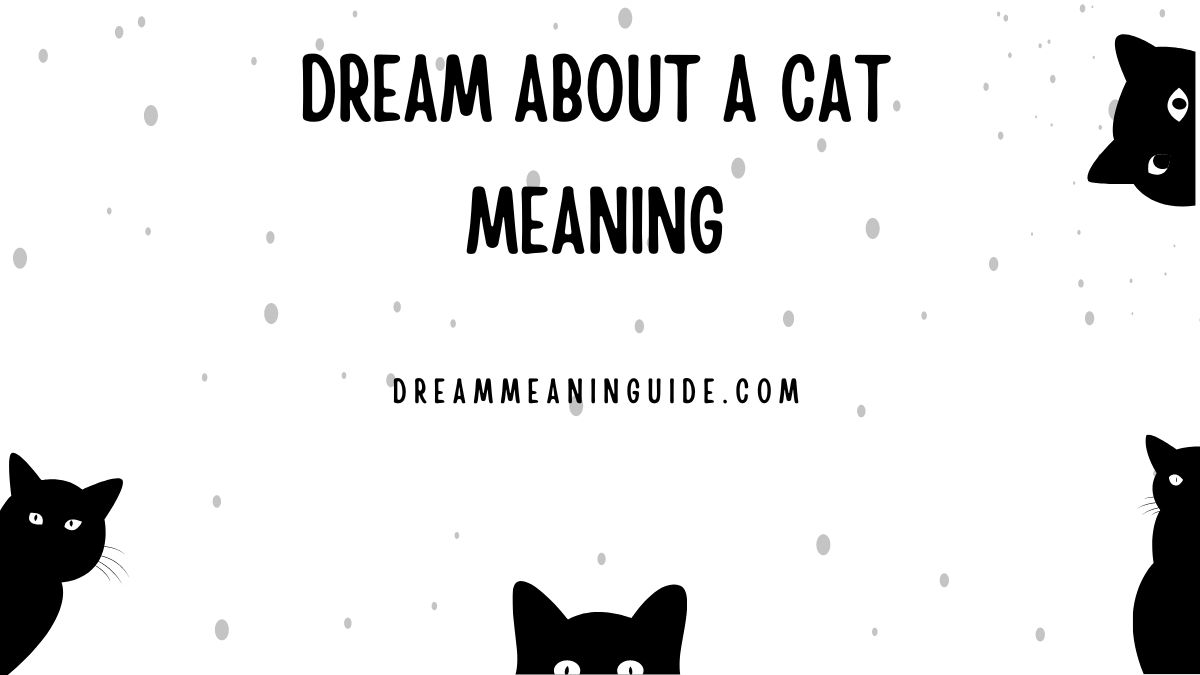 Dream about a Cat Meaning