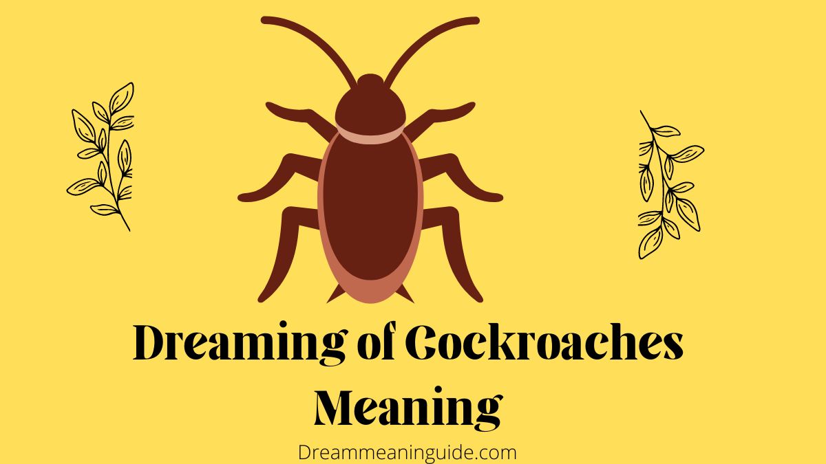 Dreaming of Cockroaches Meaning