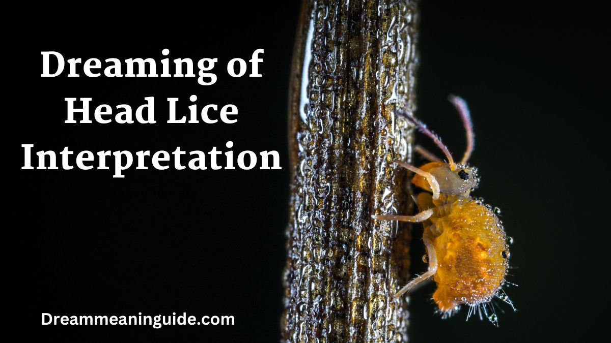 Dreaming of Head Lice Interpretation