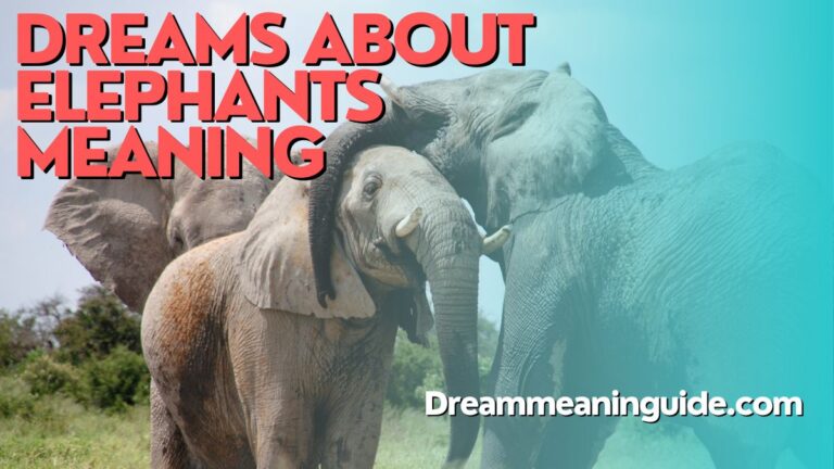 Dreams about Elephants Meaning