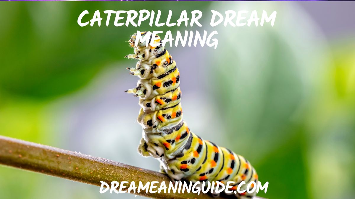 Caterpillar Dream Meaning
