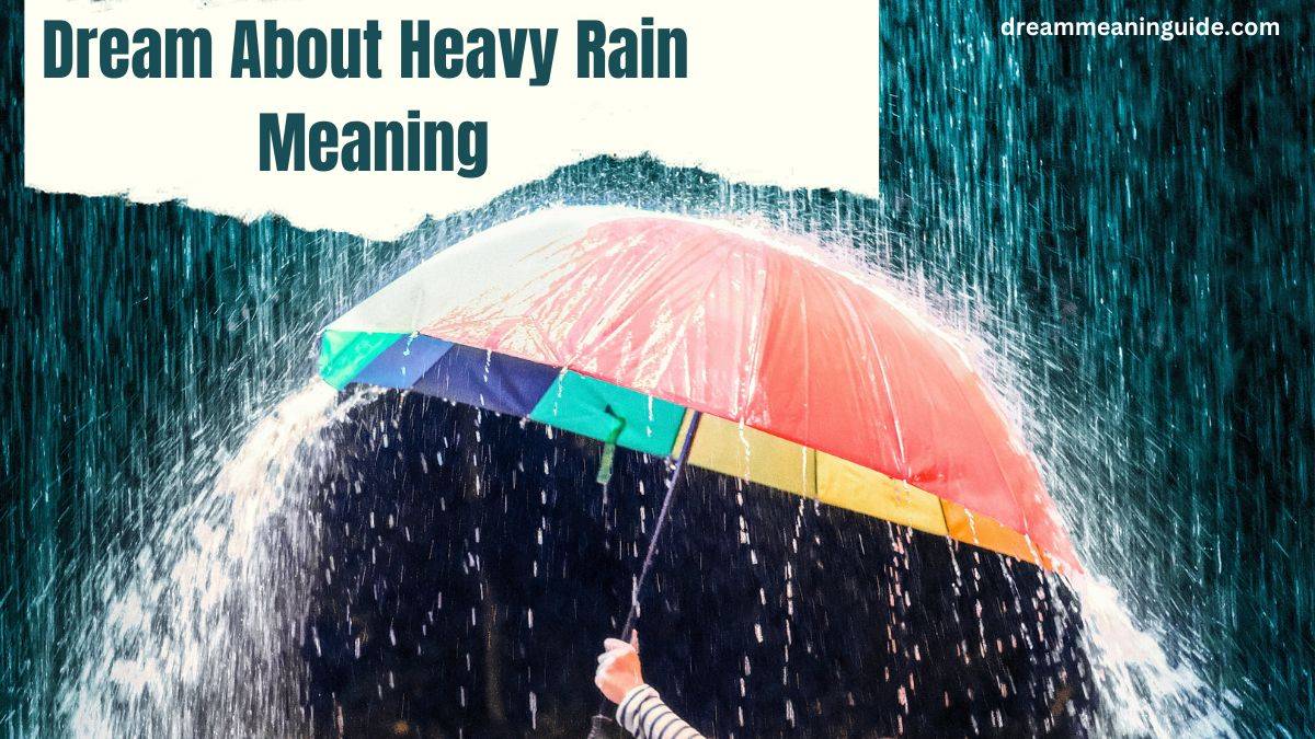 Dream About Heavy Rain