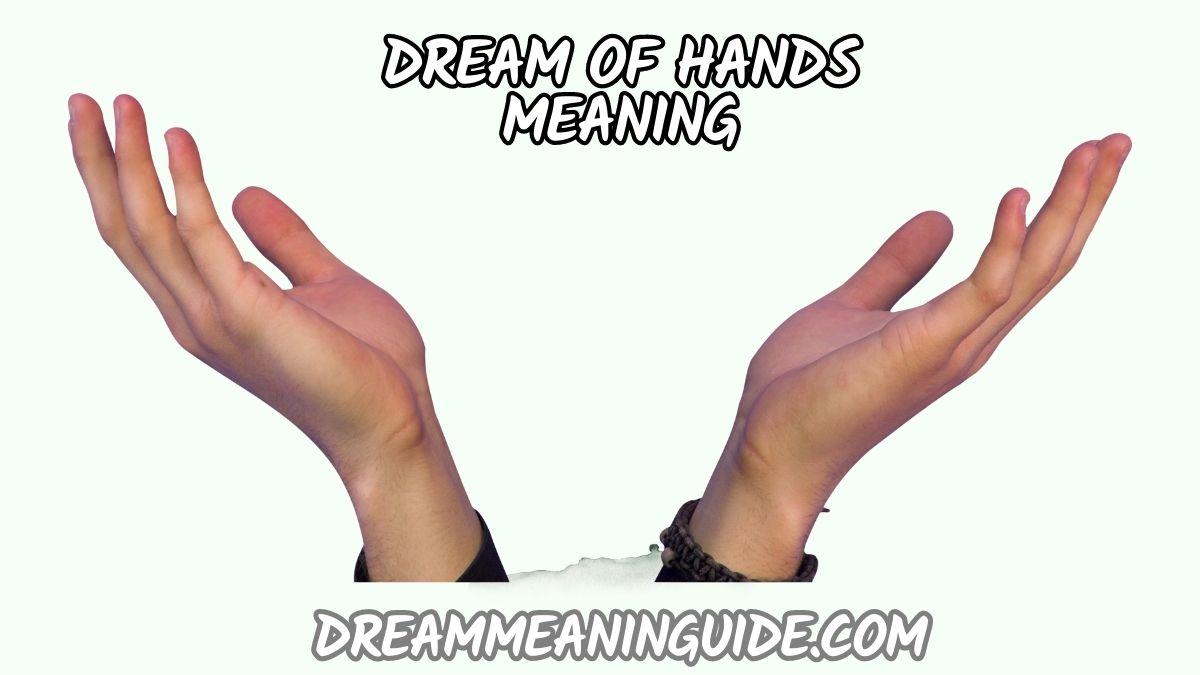Dream of Hands Meaning