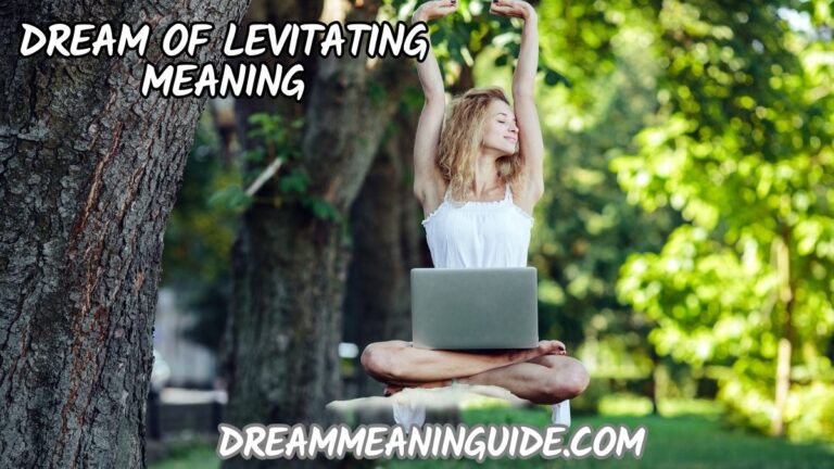 Dream of Levitating