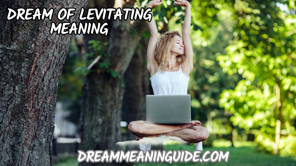 Dream of Levitating
