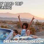 Dream of Road Trip
