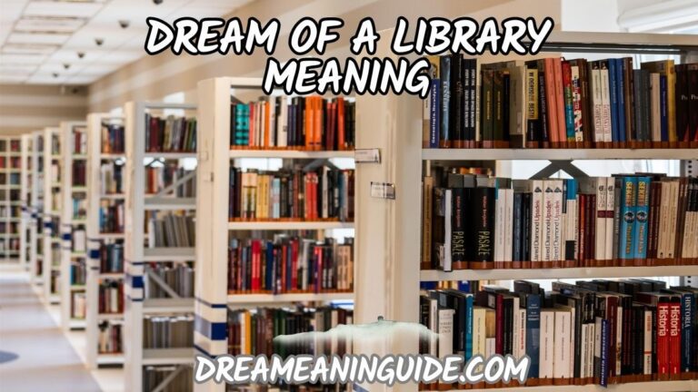 Dream of a Library Meaning