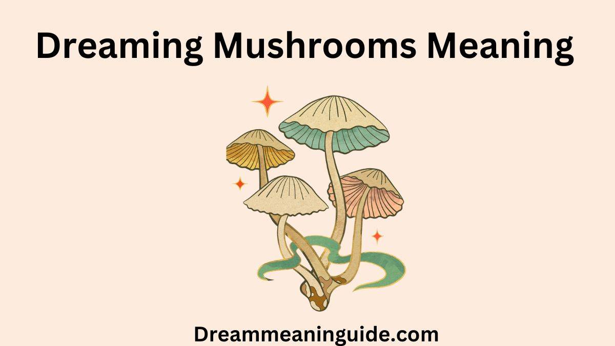 Dreaming Mushrooms Meaning