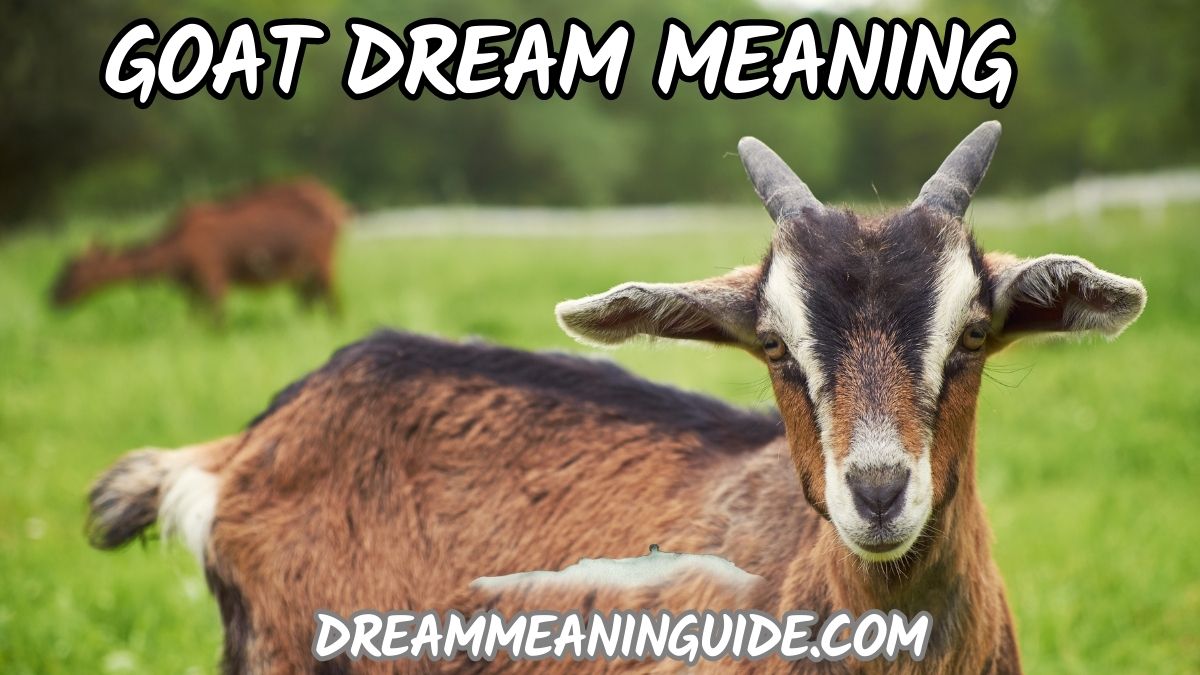 Goat Dream Meaning