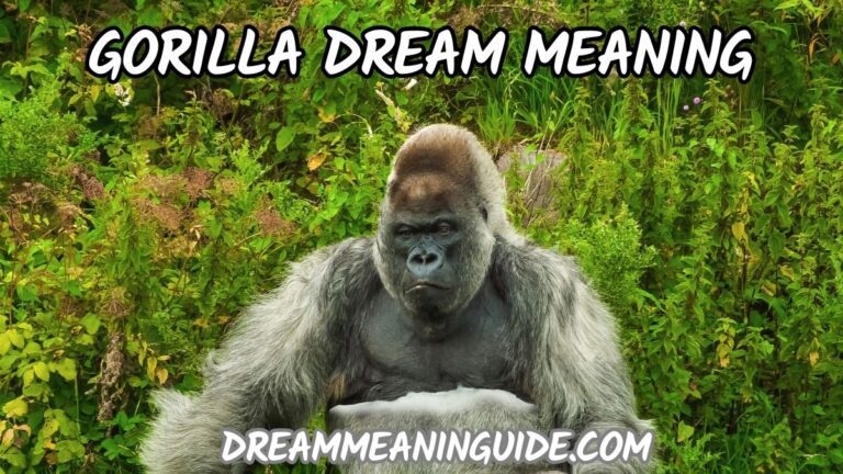 Unraveling the Gorilla Dream Meaning: Exploring Spiritual and Biblical Significance