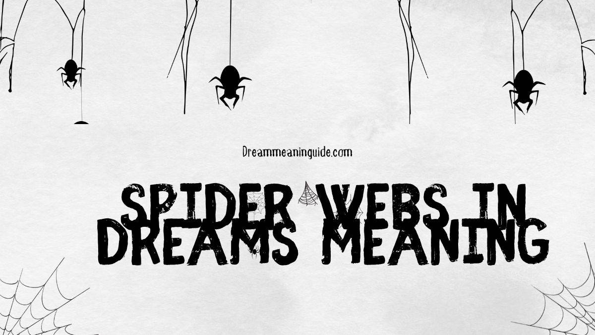 Spider Webs in Dreams Meaning