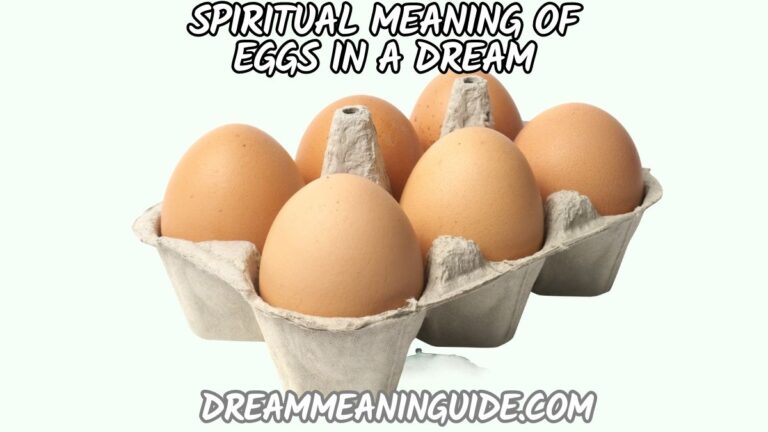 Unlocking the Spiritual Meaning of Eggs in a Dream