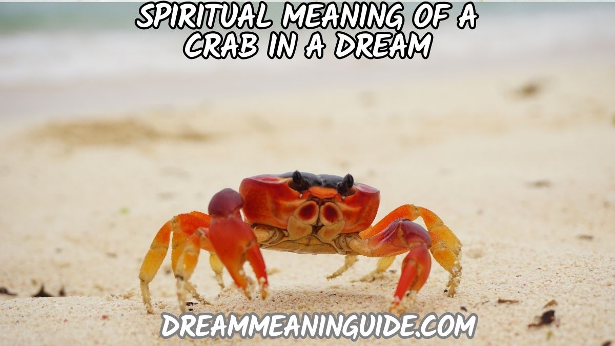 Spiritual Meaning of a Crab in a Dream