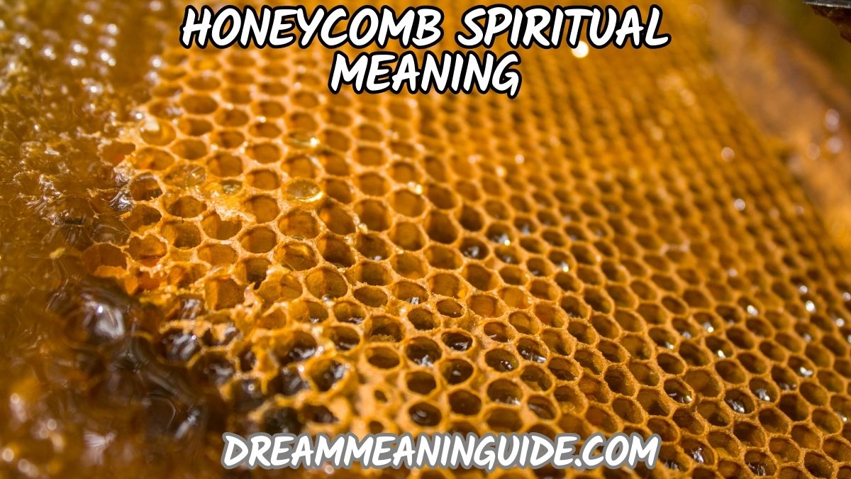 Honeycomb Spiritual Meaning