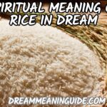 Spiritual Meaning of Rice