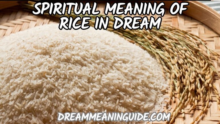 The Spiritual Meaning of Rice: Unraveling Dreams and Symbolism in Islam, Bible and Hinduism