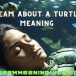 Dream About a Turtle Meaning